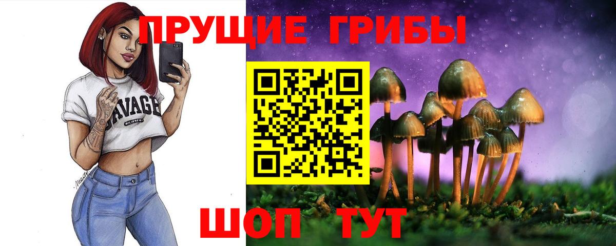 Псилоцибиновые грибы мицелий  Псилоцибиновые грибы Cubensis  Вход с VPN  Лесозаводск 